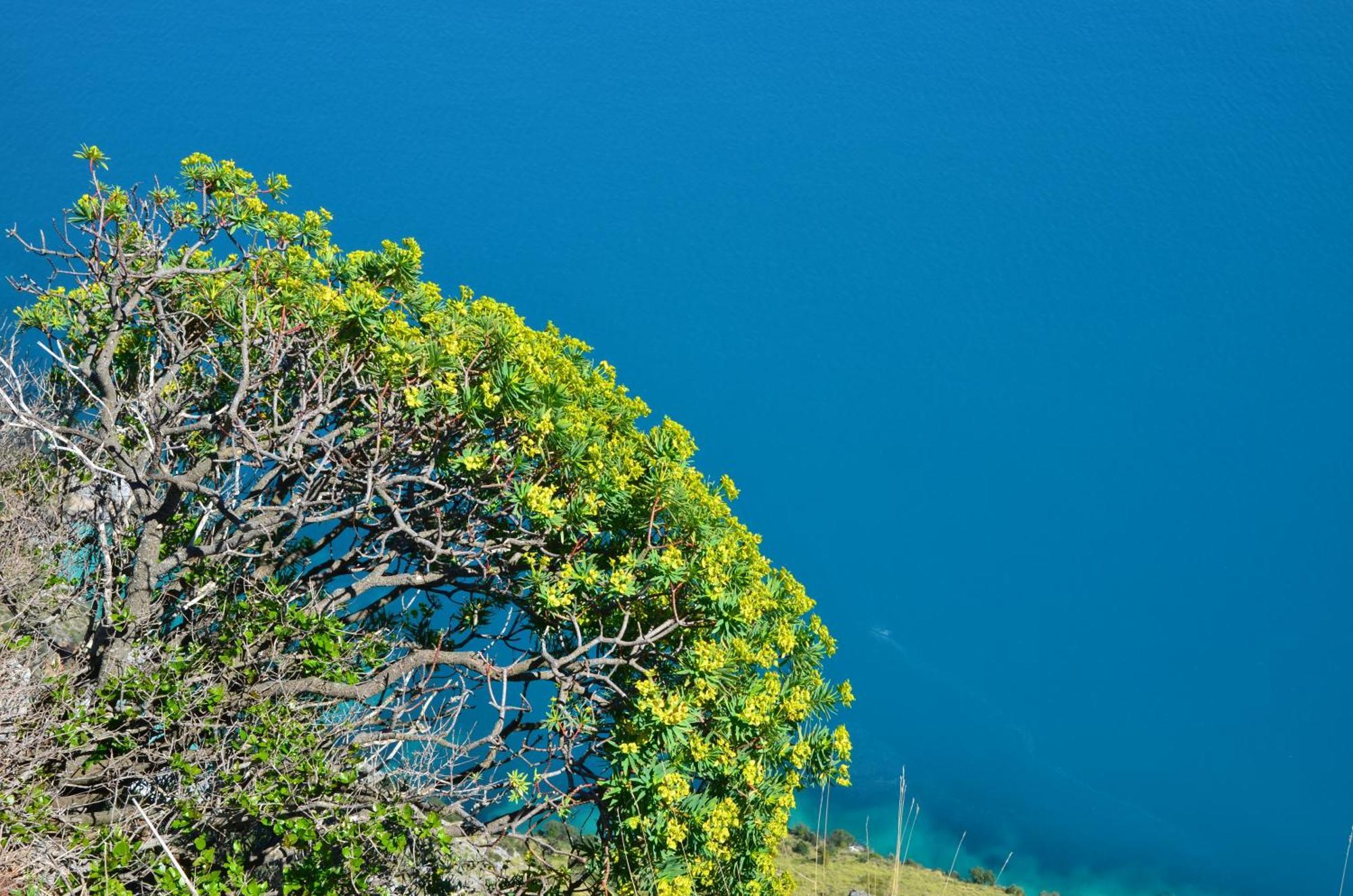 Vila Tre Borghi San Giovanni a Piro Exteriér fotografie